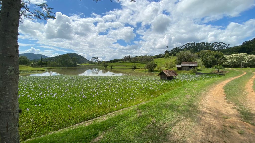 Lindo Sítio – Polaquia – Indaial/SC