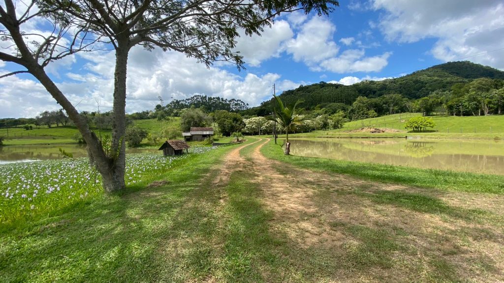 Lindo Sítio – Polaquia – Indaial/SC